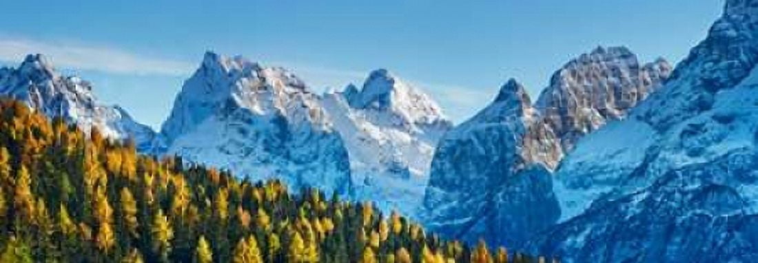 Larch forest and Cima bel Pra Italy Canvas Art - Frank Krahmer (10 x 20)