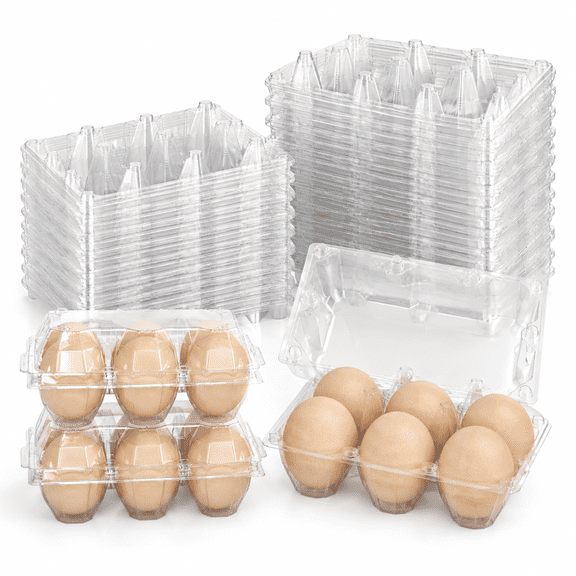 Large 120 Pack Egg Cartons Cheap Bulk Carton - 6 Count Duck Exact Half Dozen