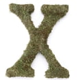 thumbnail image 1 of Le Prise Large Moss Monogram Wreath, 1 of 7