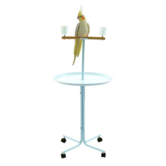 Large 23" Play T-Stand Wooden Perch Rolling Stand With Metal Base Parrot Bird Cage Amazon African Grey Macaw Cockatoo