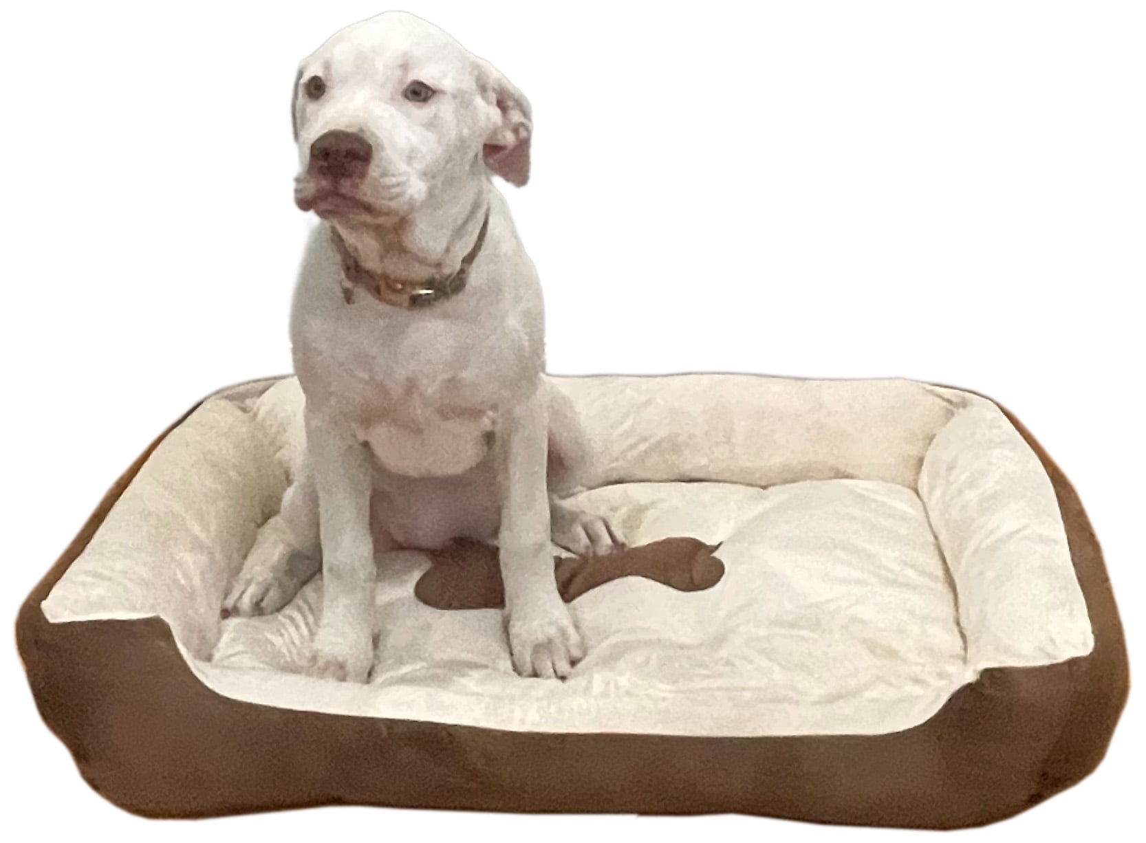 Large 31"×24" Luxury Pet Bed for Dogs or Cats - Super Soft, Machine Washable, Waterproof Non-Slip Underside, Low Front Wall for Easy Entering & Exiting
