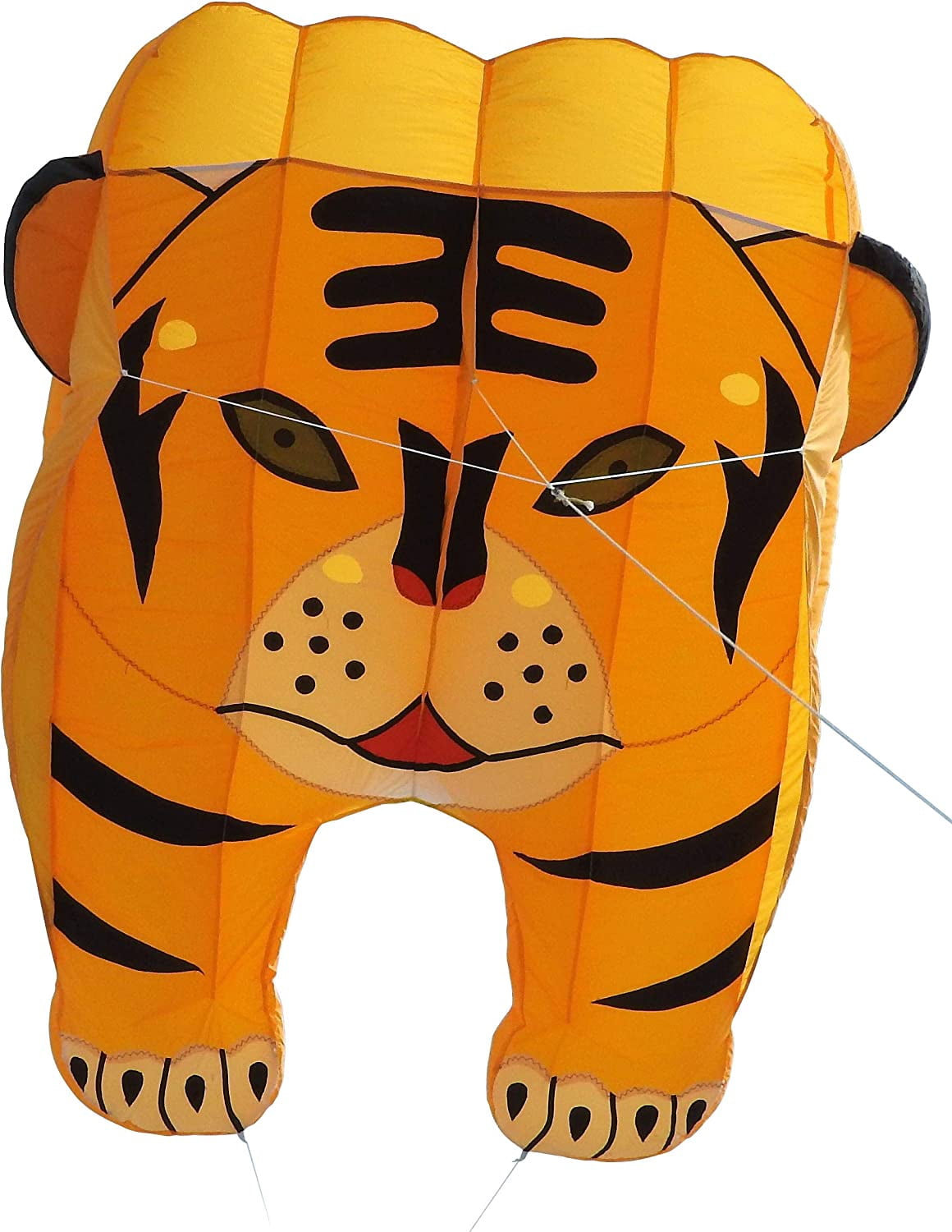 Large 3D Parafoil Kite for Adults and Kids, Easy-Fly Soft Nylon Kite with String and Backpack for Beach Park, 244x39 Inch