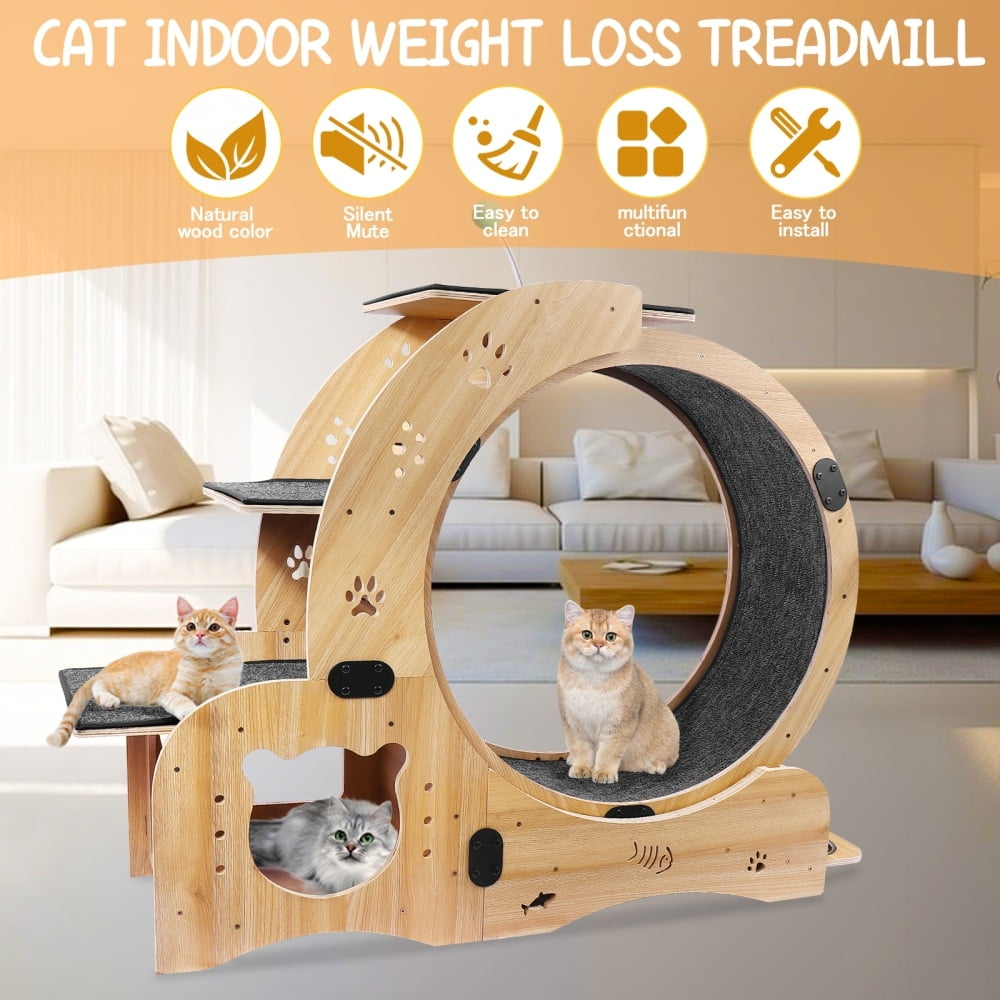 Natural Wood Large 4-in-1 Cat Exercise Wheel with Silent Treadmill