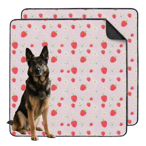 Large 48"x48" Vibrant Fruit Patterns Design Washable Dog Pee Pads, Reusable Potty Pads with Non-Slip Backing and Core Technology