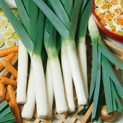Large American Flag Leek Garden Seeds: 4 Oz - Non-GMO, Heirloom, Vegetable Gardening Seeds, Growing Microgreens