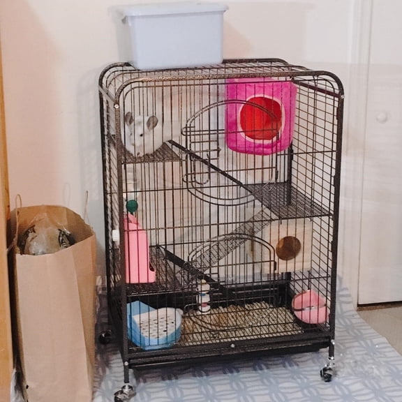 Large Animal Cage for Small Pets, Black, 4-Tier, 2-Door, Powder Coated Metal, Heavy-Duty Casters, 20"W x 20"L x 20"H