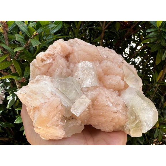 Large Apophyllite & Stilbite Crystal Cluster 3-8", Natural Apophyllite Cluster with Inclusions (2-3 lb)
