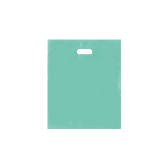 SSWBasics Large Aqua Blue Frosted Plastic Goodie Bags with Handles - 15 x 18 x 4 Plastic Merchandise Bags - Case of 250 Frosted Bags