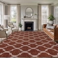 thumbnail image 1 of Large Area Rugs for Living Room Bedroom, Brown Moroccan 5'x8' Rug Washable Carpet Runner Indoor Outdoor, Morocco Abstract Quatrefoil Geometric Non Slip Floor Mats Rug for Kitchen, Bathroom, 1 of 8