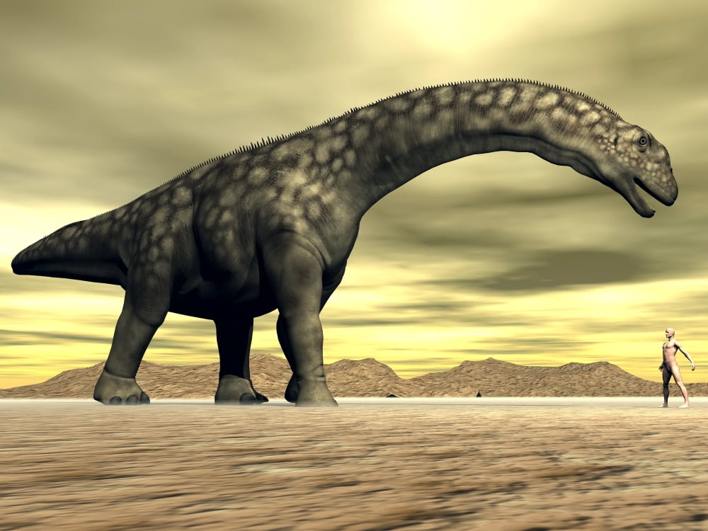 Large Argentinosaurus dinosaur face to face with a human Canvas Art - Elena DuvernayStocktrek Images (33 x 25)