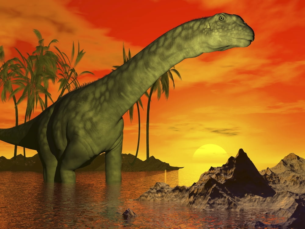 Large Argentinosaurus dinosaur in water at sunset Canvas Art - Elena DuvernayStocktrek Images (17 x 13)