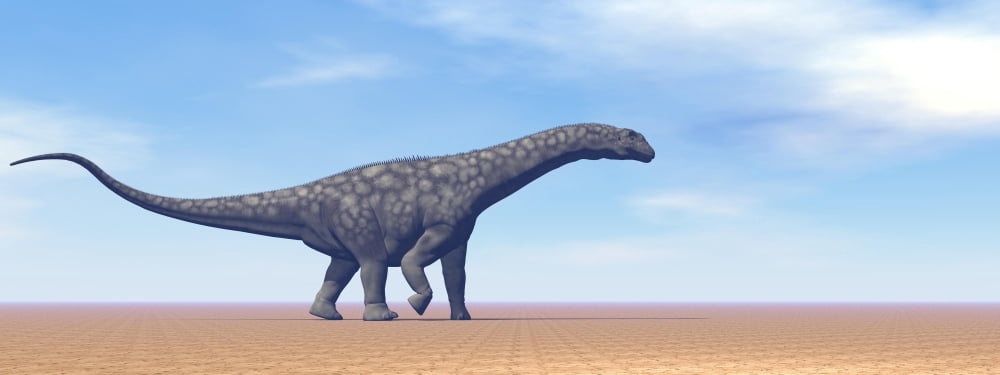 Large Argentinosaurus dinosaur walking in the desert Canvas Art - Elena DuvernayStocktrek Images (23 x 9)