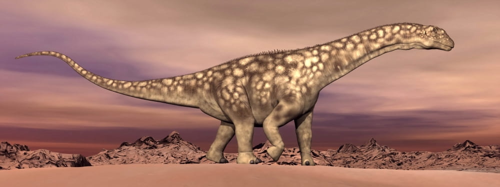 Large Argentinosaurus dinosaur walking in the desert Canvas Art - Elena DuvernayStocktrek Images (46 x 18)