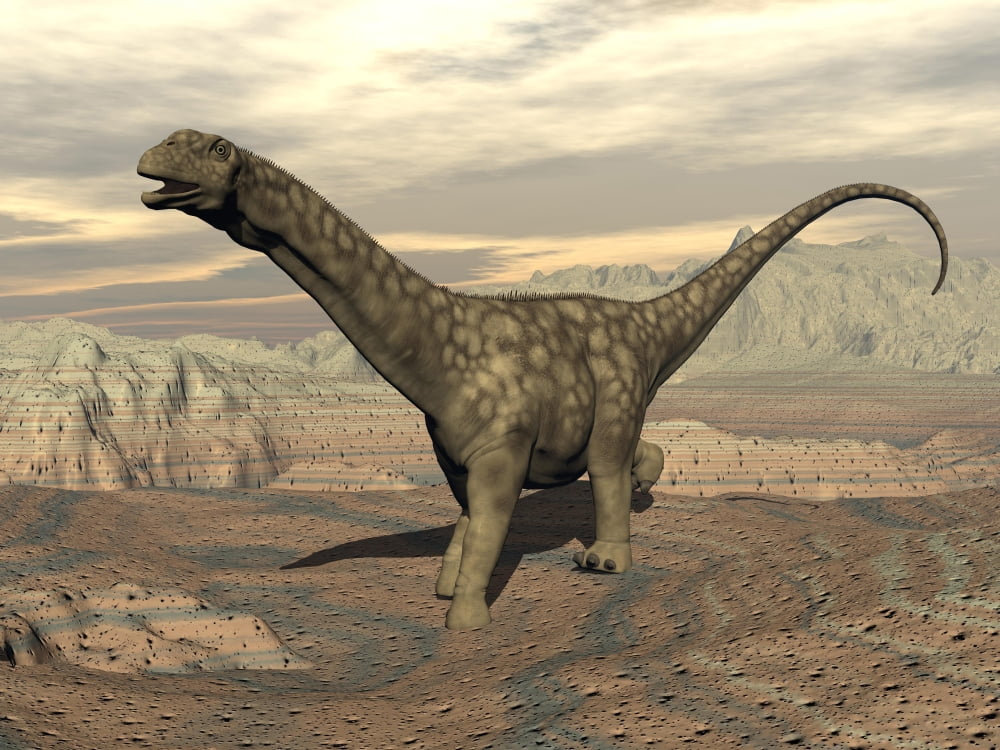 Large Argentinosaurus dinosaur walking on rocky terrain Canvas Art - Elena DuvernayStocktrek Images (17 x 13)