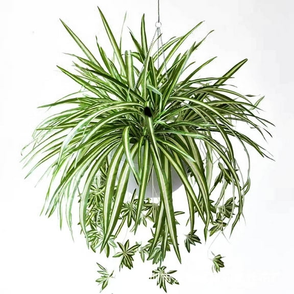 Large Artificial Hanging Spider Plant 23.6 Inch Fake Silk Chlorophytum Comosum for Home Office Garden Decoration
