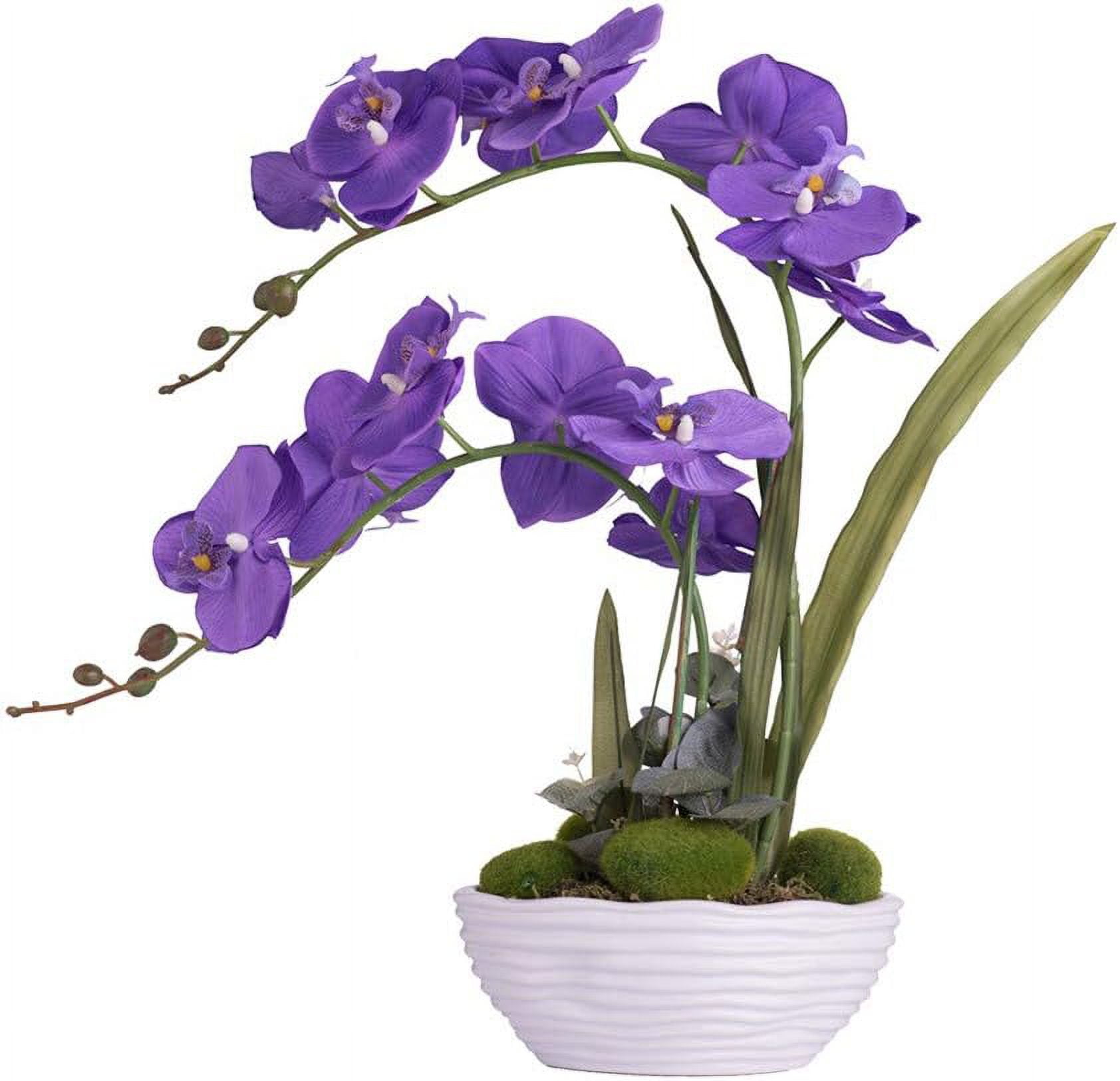 Large Artificial Potted Orchid Plant - Silk Flower Arrangement In White Ceramic Vase (17.7" H) - View #6