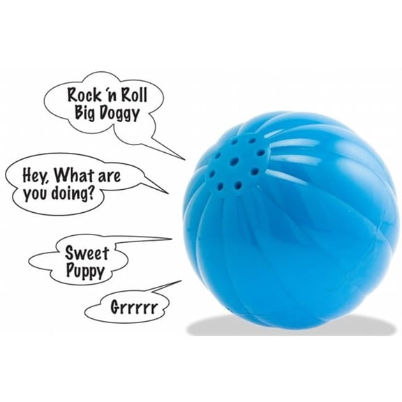 Large Assorted Colors Talking Babble Ball