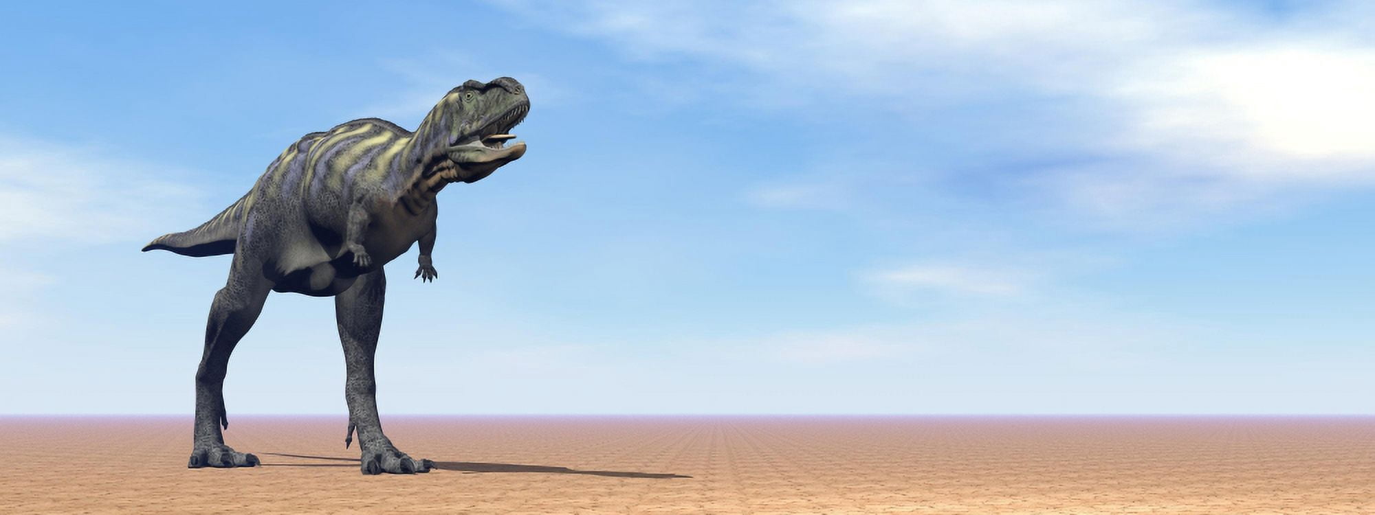 Large Aucasaurus dinosaur standing in the desert Canvas Art - Elena DuvernayStocktrek Images (23 x 9)
