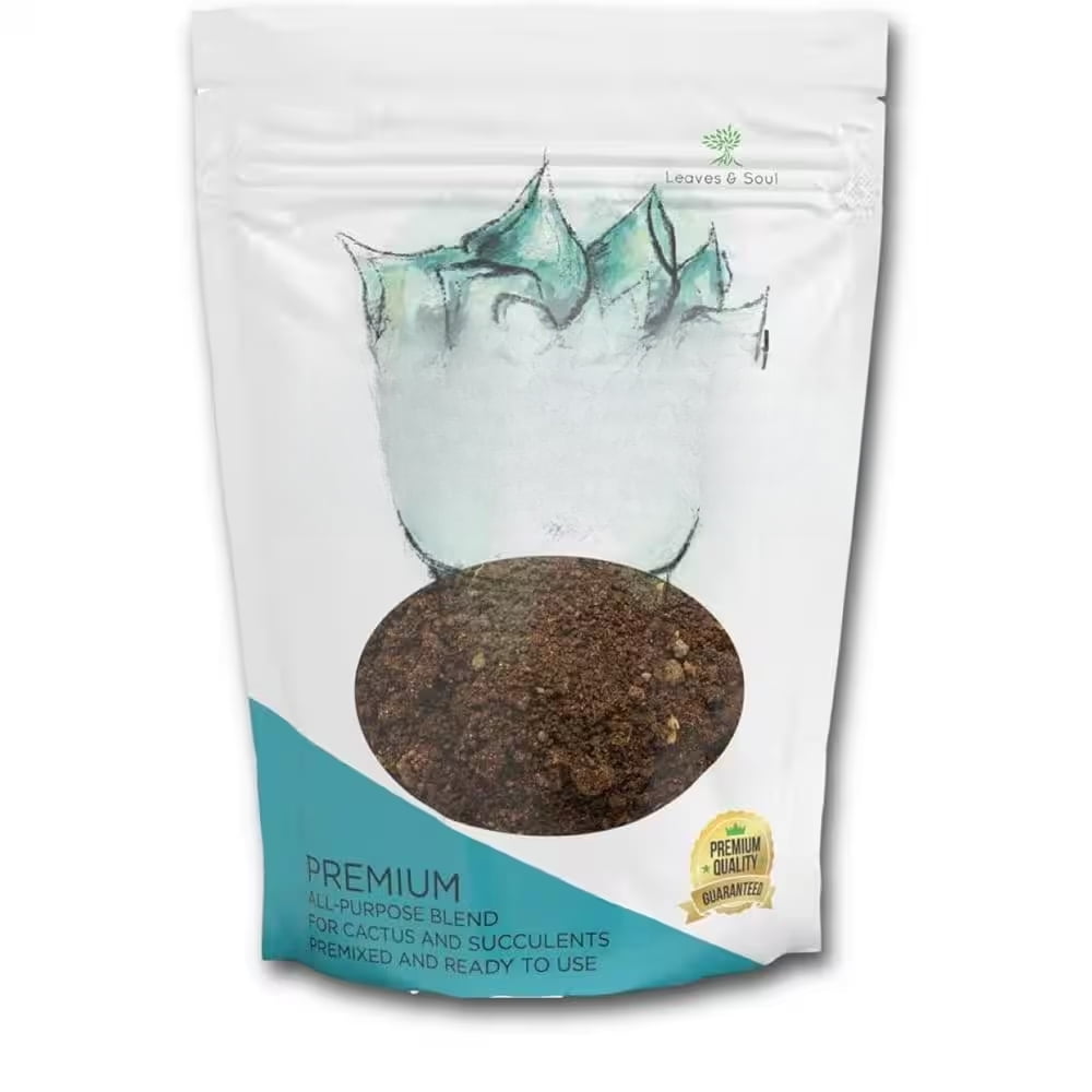 Large Bag Succulent Soil Premium All Purpose Blend Ready to Use for Cactus  and Succulents, 8.2 qt. - Walmart.com
