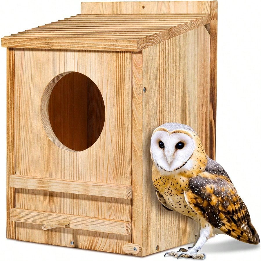 How to Build an Owl House and Attract Them | DIY, image size:900x900