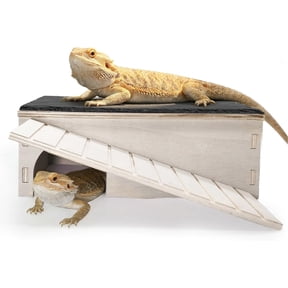 Large Bearded Dragon Hide Cave with Basking Platform,Wooden Lizard Hideout with Climbing Ramp,Reptile Slate Rocks Basking Platform with Hiding Cave Tank Accessories for Gecko,Chameleon,Snake