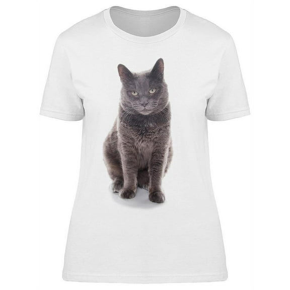 Large Beautiful Grey Cat T-Shirt Women -Image by Shutterstock, Female x-Large