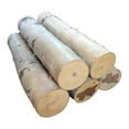 thumbnail image 1 of Large Birch Fireplace Log Set of Five, 1 of 2
