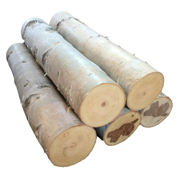 Large Birch Fireplace Log Set of Five