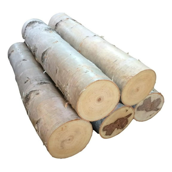 Large Birch Fireplace Log Set of Five