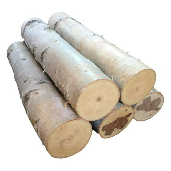 Large Birch Fireplace Log Set of Five