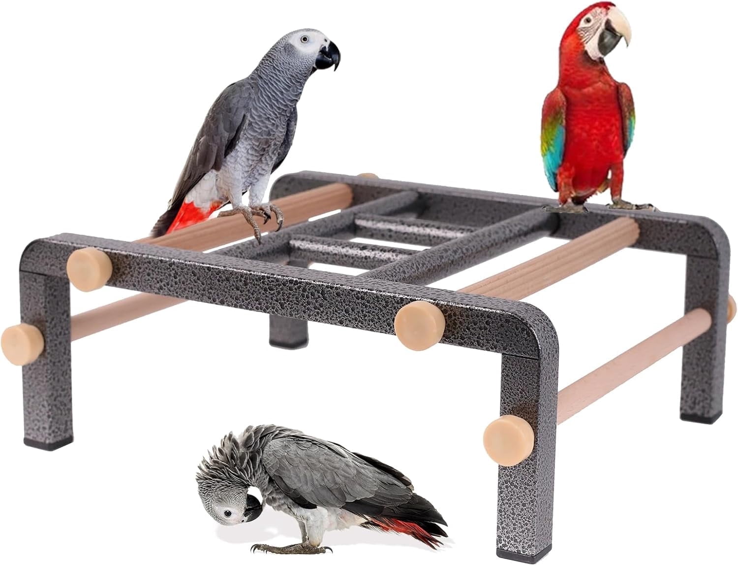 Large Bird Table Training Perch for African Grey Macaw Amazon Parrot ...
