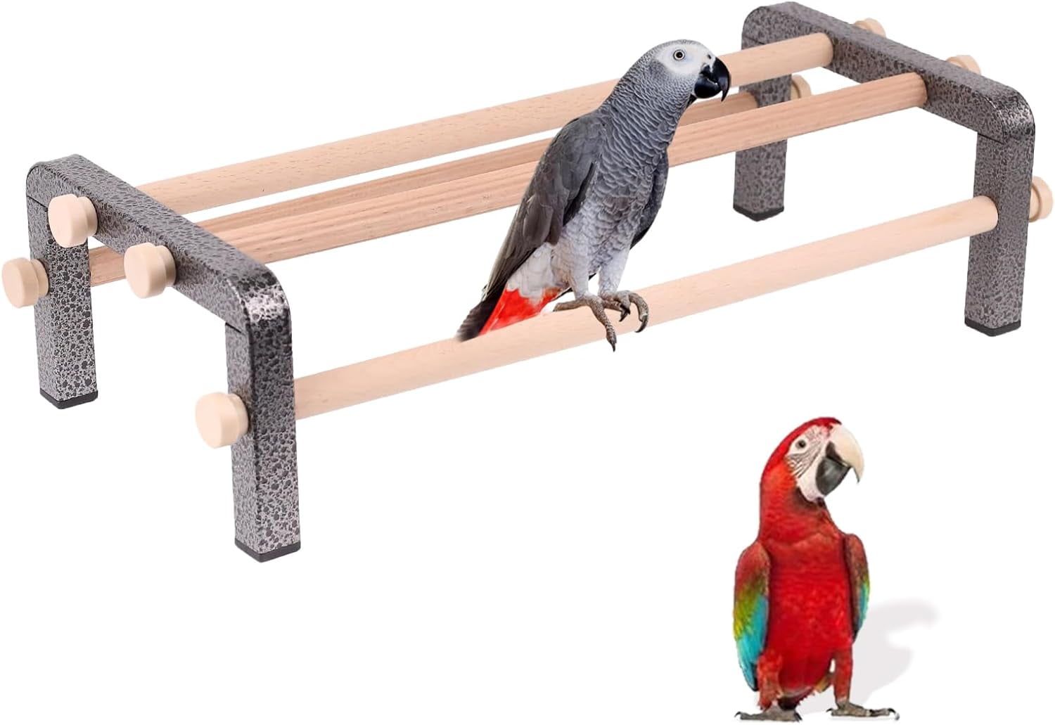 View of Large Bird Training Perch Long Stand for African Grey Macaw Big Birds ...