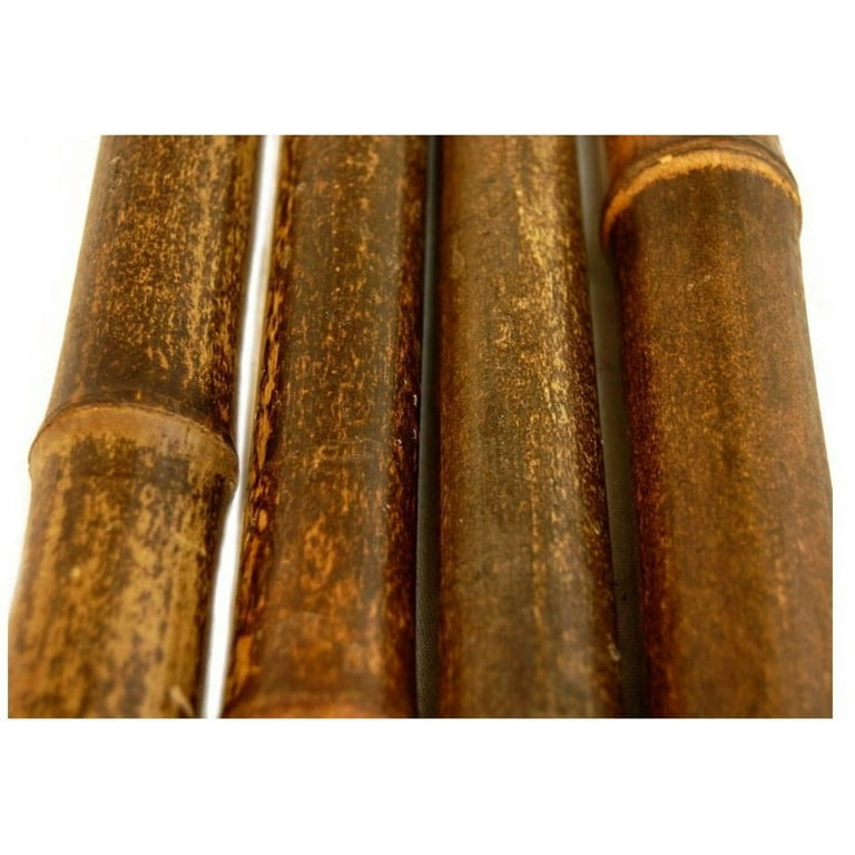 Large Black Bamboo Poles – 1, 2, or 3 Inch – 6′ or 8′ – Pack of 10 or Pack  of 20