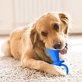 thumbnail image 1 of Large Blue Rubber Dog Chew Toy for Aggressive Chewers, Molar Clean Teeth Pacifier Chewing Playing Training Toy, Durable Puppy Dog Cats Teething, 1 of 5