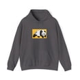 thumbnail image 1 of Large Box Panda Enjoi Skateboard 2000s Mullen Vintage Classic Hoodie Print - Charcoal / 3XL, 1 of 5
