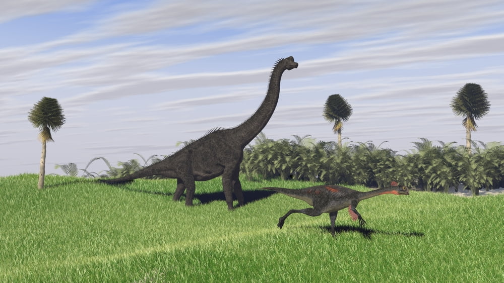 Large Brachiosaurus and a Gigantoraptor in a grassy field Canvas Art - Kostyantyn IvanyshenStocktrek Images (38 x 22)