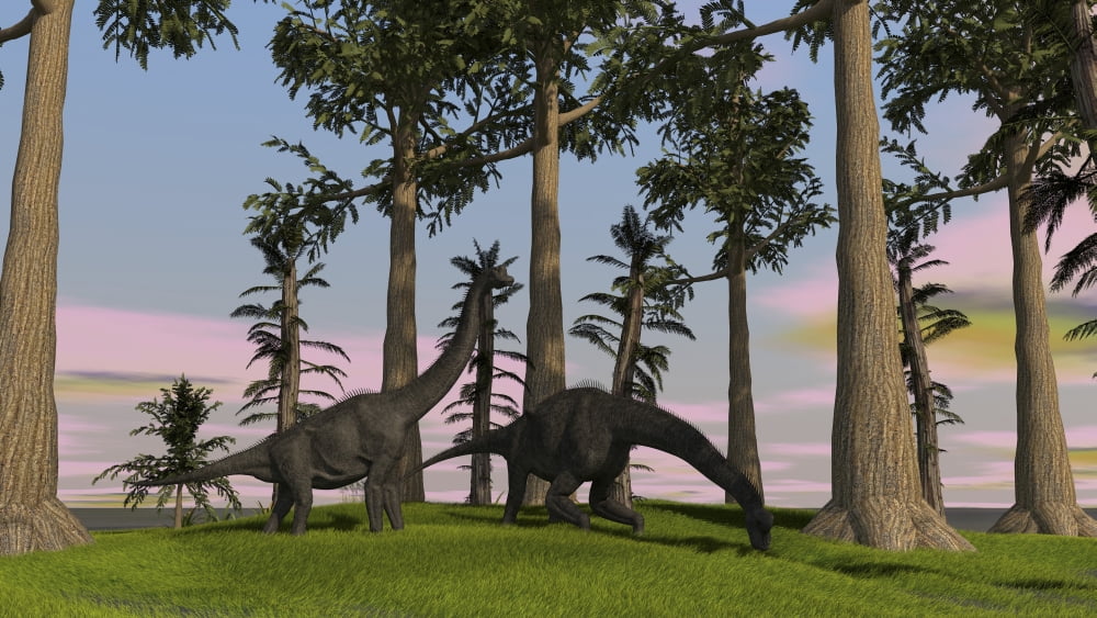 Large Brachiosaurus dinosaurs grazing among trees Canvas Art - Kostyantyn IvanyshenStocktrek Images (38 x 22)