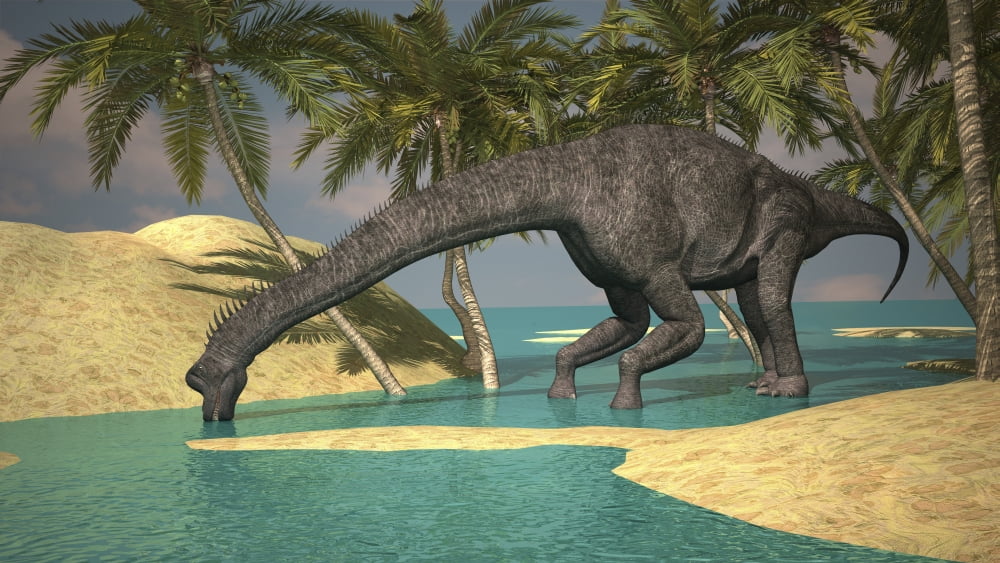 Large Brachiosaurus drinking water from a stream Canvas Art - Kostyantyn IvanyshenStocktrek Images (19 x 11)