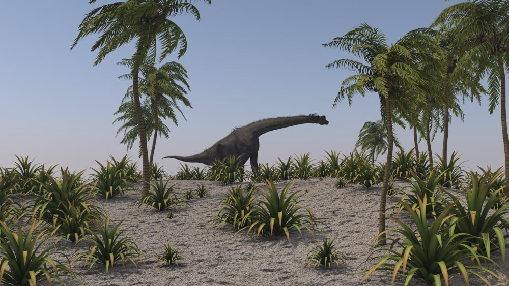 Large Brachiosaurus grazing Canvas Art - Kostyantyn IvanyshenStocktrek Images (19 x 11)
