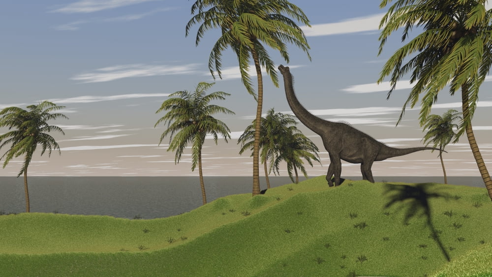 Large Brachiosaurus grazing Canvas Art - Kostyantyn IvanyshenStocktrek Images (38 x 22)