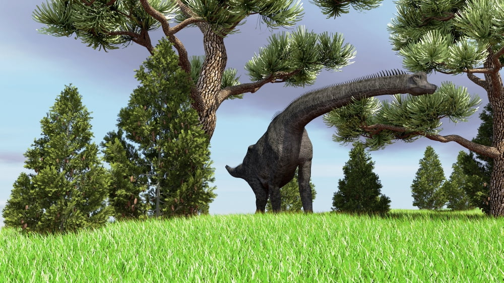 Large Brachiosaurus grazing among trees Canvas Art - Kostyantyn IvanyshenStocktrek Images (38 x 22)