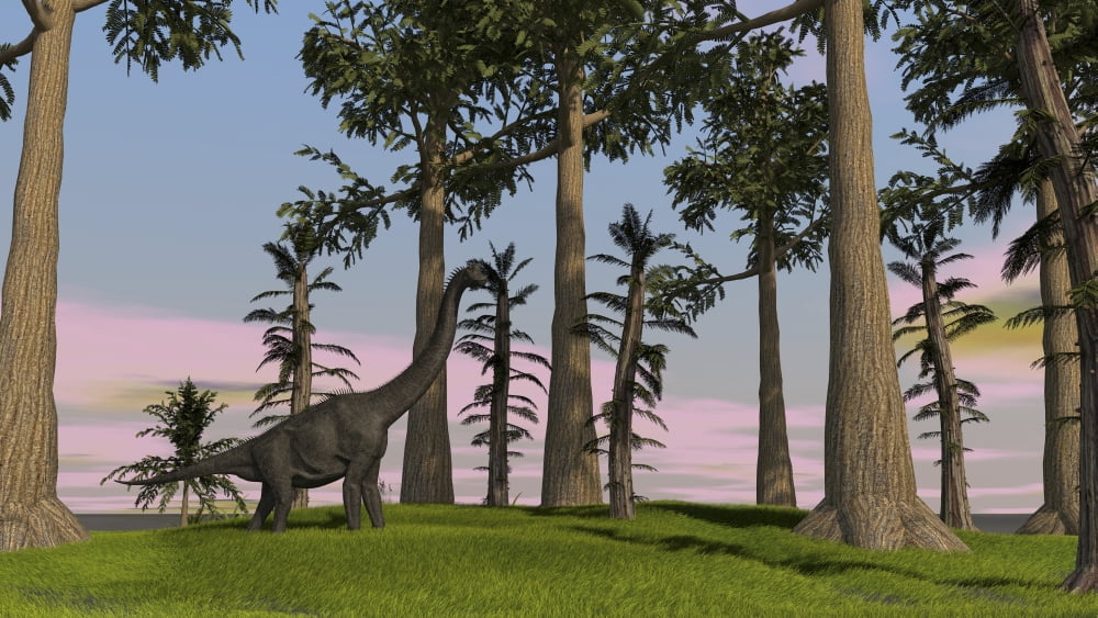 Large Brachiosaurus grazing among trees Canvas Art - Kostyantyn IvanyshenStocktrek Images (38 x 22)