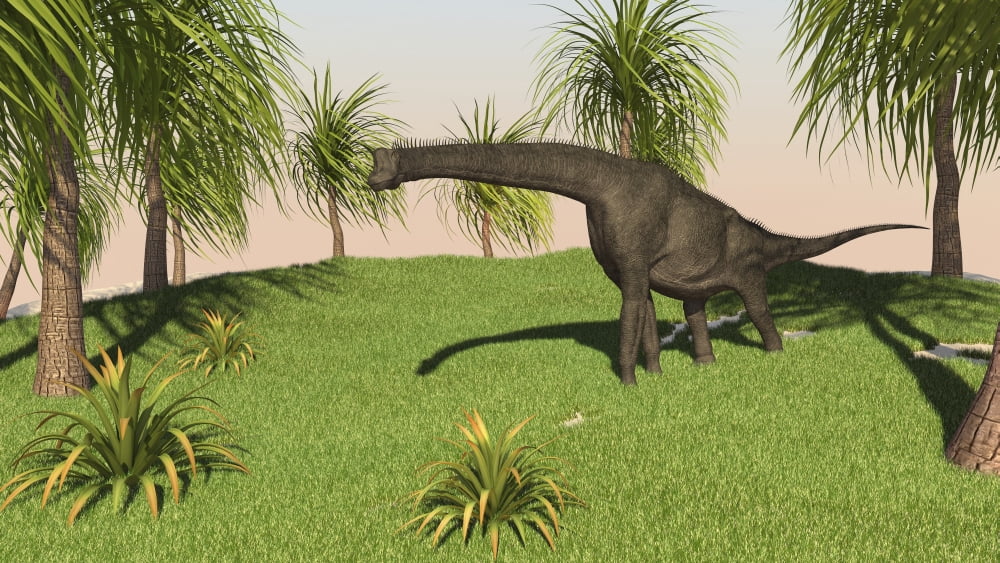 Large Brachiosaurus grazing in a grassy field Canvas Art - Kostyantyn IvanyshenStocktrek Images (19 x 11)