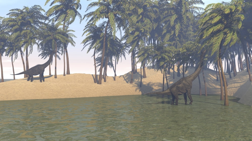 Large Brachiosaurus grazing in a tropical climate Canvas Art - Kostyantyn IvanyshenStocktrek Images (38 x 22)