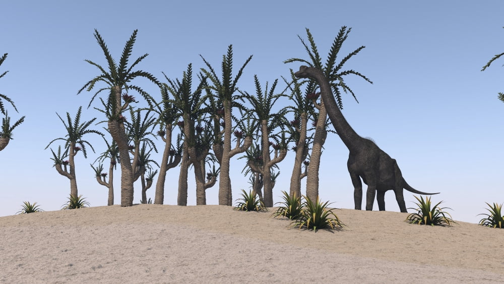 Large Brachiosaurus grazing on an island Canvas Art - Kostyantyn IvanyshenStocktrek Images (19 x 11)