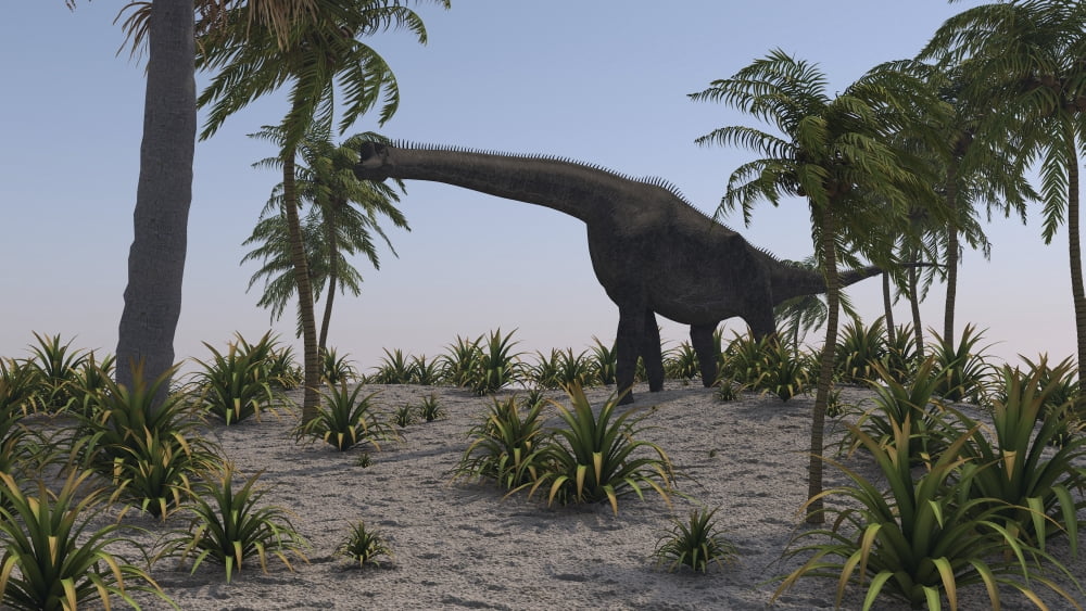 Large Brachiosaurus grazing on foliage Canvas Art - Kostyantyn IvanyshenStocktrek Images (38 x 22)
