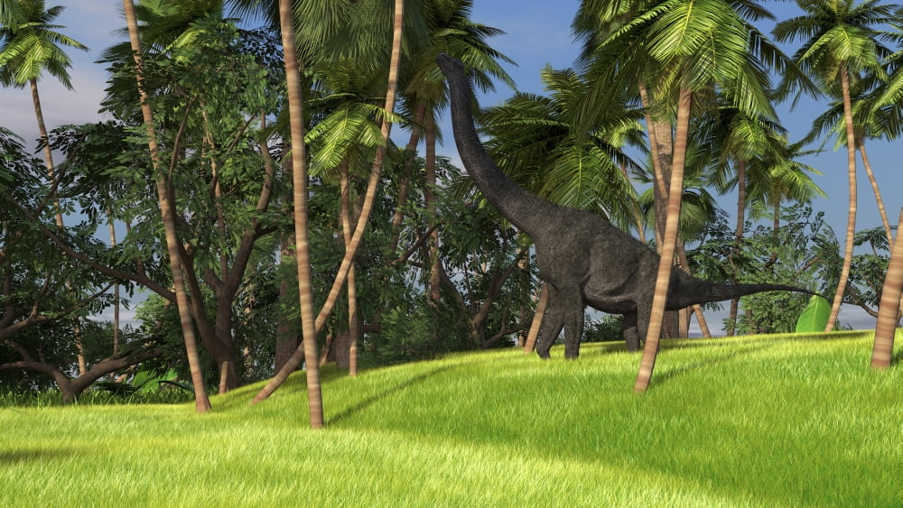 Large Brachiosaurus grazing on palm trees Canvas Art - Kostyantyn IvanyshenStocktrek Images (38 x 22)