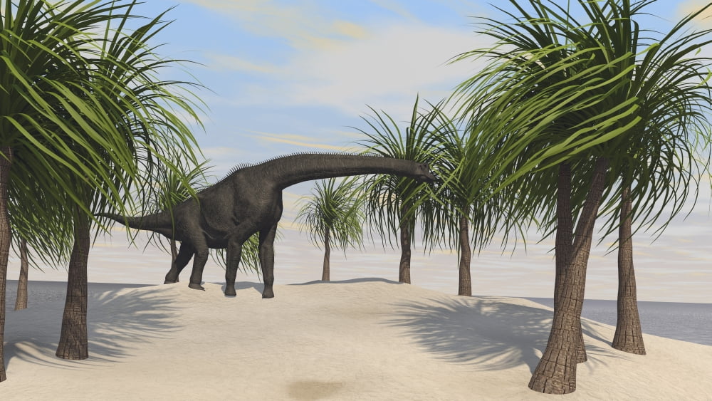 Large Brachiosaurus grazing on trees Canvas Art - Kostyantyn IvanyshenStocktrek Images (19 x 11)