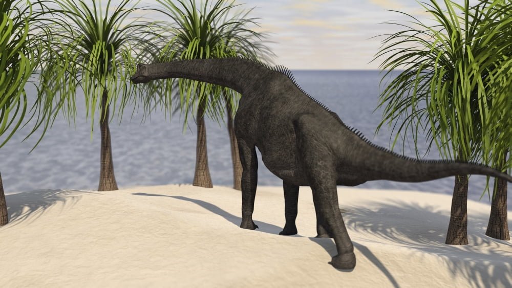 Large Brachiosaurus grazing on trees Canvas Art - Kostyantyn IvanyshenStocktrek Images (38 x 22)