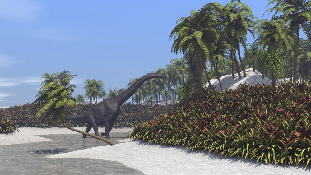 Large Brachiosaurus grazing on tropical plants Canvas Art - Kostyantyn IvanyshenStocktrek Images (38 x 22)